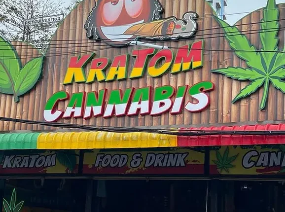 Thailand förbjuder cannabis utan recept – nya regler väcker kaos och protester