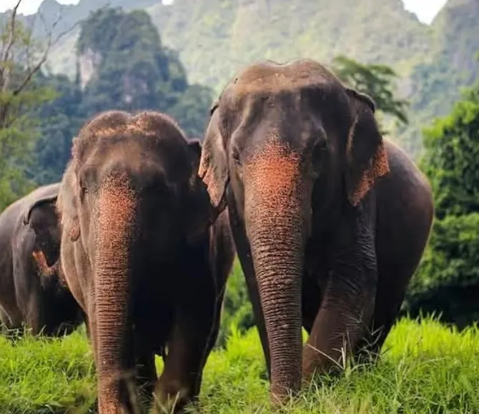 Saker att se upp för i Phuket – misstag du bör undvika