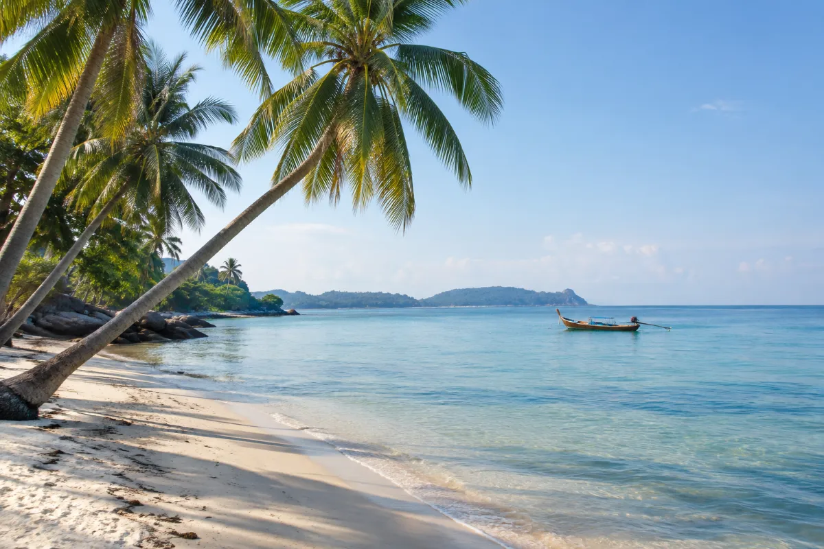 Strand med lutande kokospalmer och lugnt hav på Koh Samui